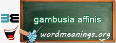 WordMeaning blackboard for gambusia affinis